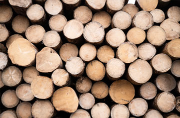 Wood processing